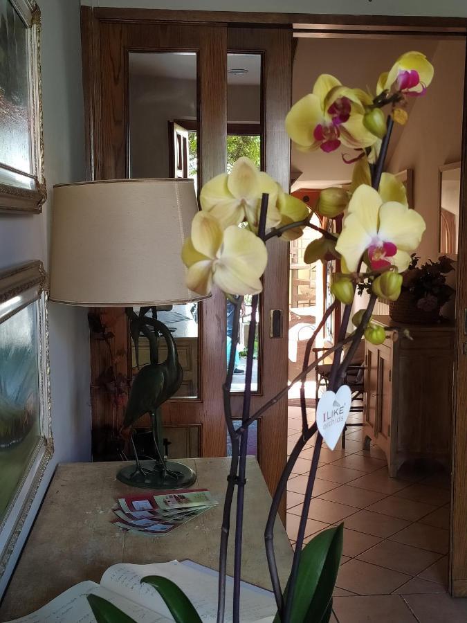 B&B La Casa Di Zia Lina Monsummano Terme 外观 照片